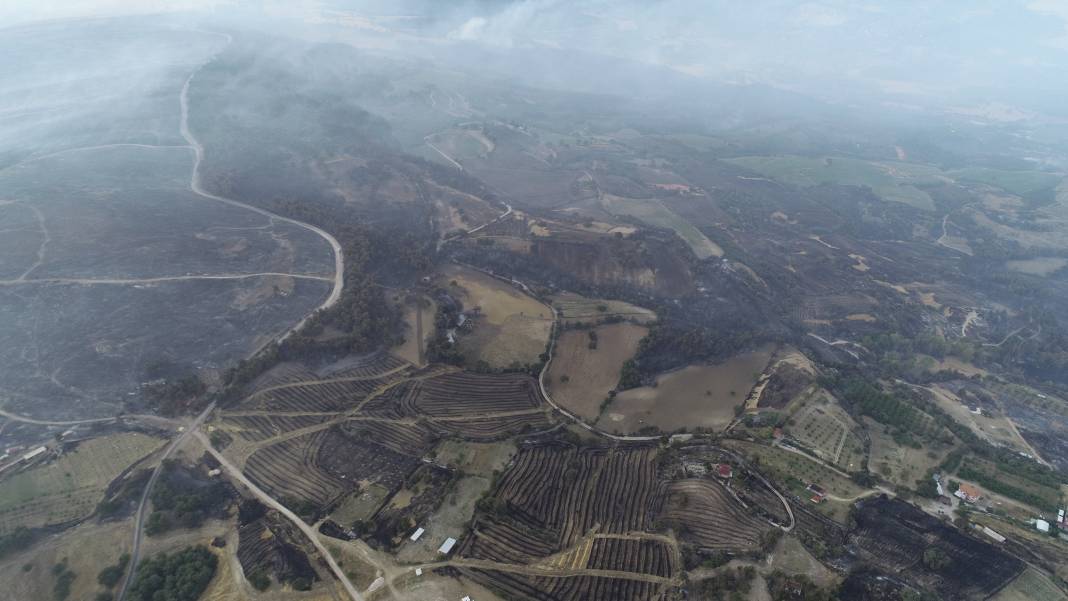 Çanakkale'deki orman yangını 39 saattir sürüyor 19